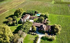 Chateau La Gineste - Castle And Vineyard